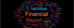 FINANCIAL REPORTS
